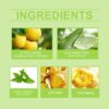 Green Tea Foam Cleanser