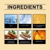 Roxelis Lasting Natural Men Fragrance