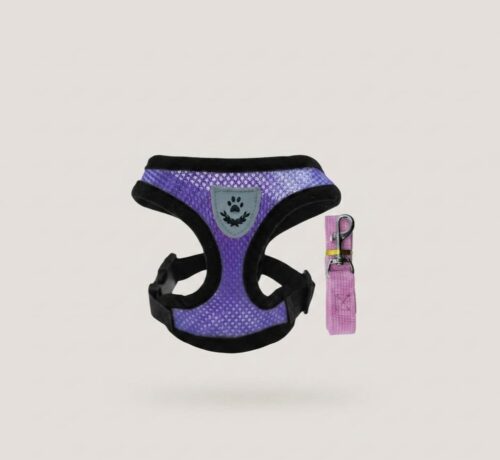 Adjustable Pet Harness Set