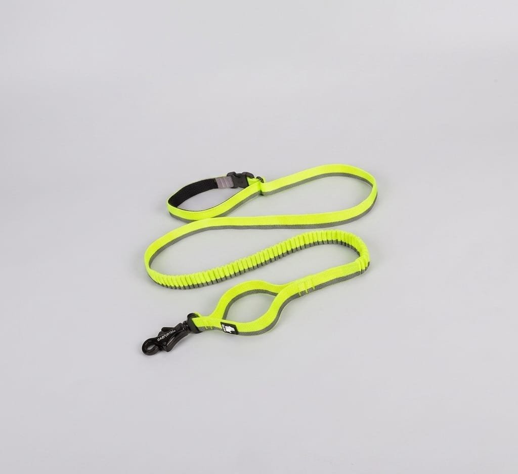 Pet Dog Leash With Elastic Cushioning